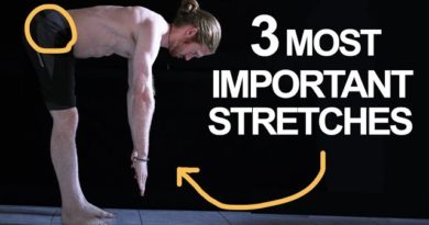The 3 Most Important Stretches For Movement