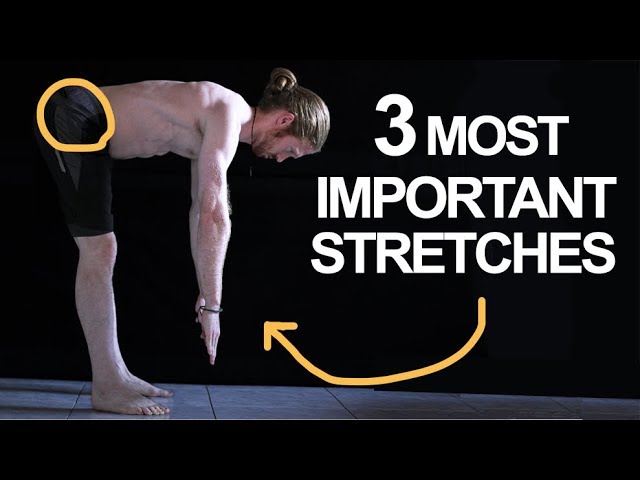 The 3 Most Important Stretches For Movement